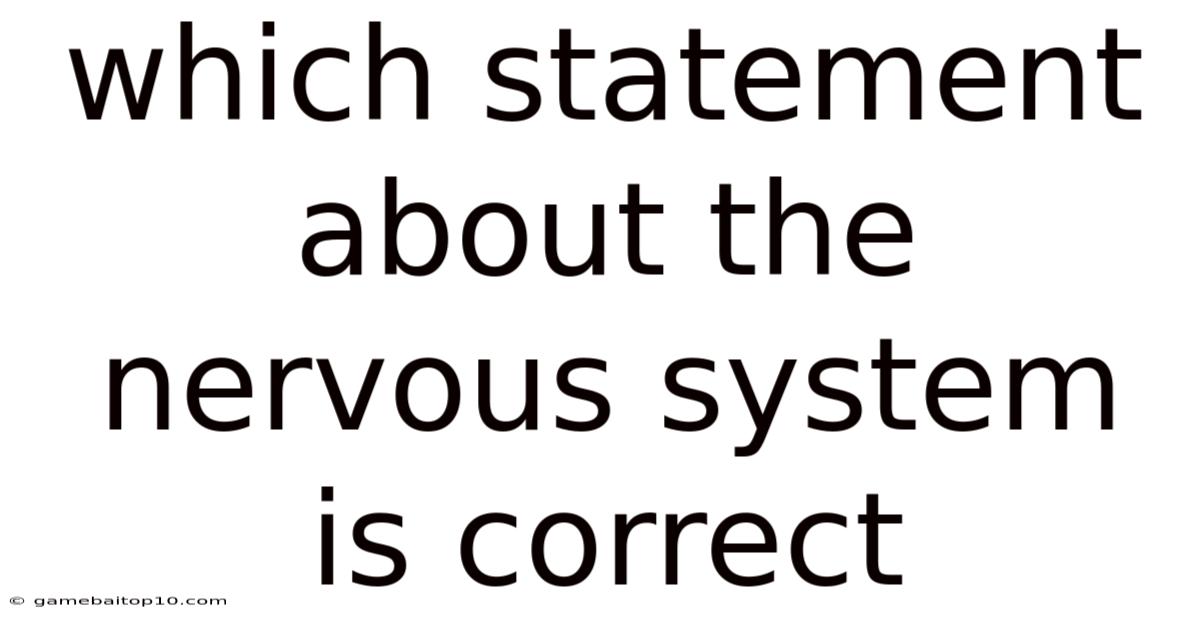 Which Statement About The Nervous System Is Correct