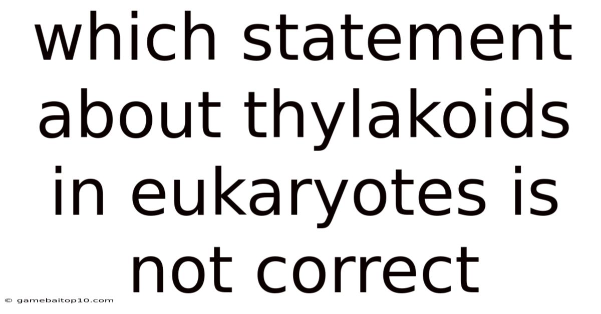 Which Statement About Thylakoids In Eukaryotes Is Not Correct