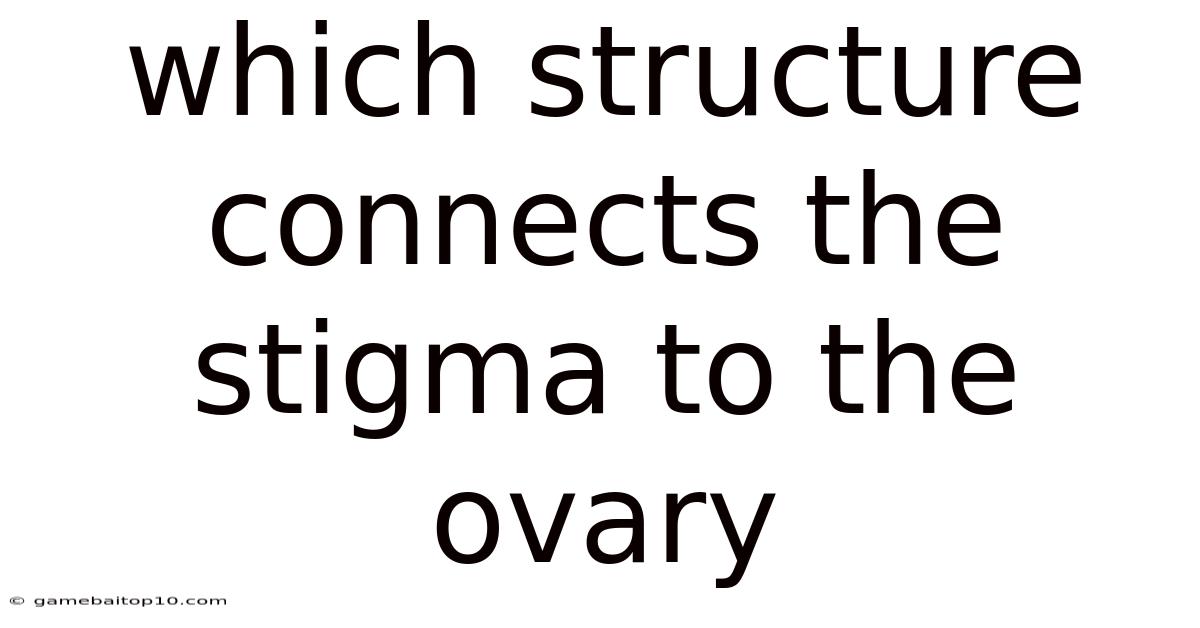 Which Structure Connects The Stigma To The Ovary
