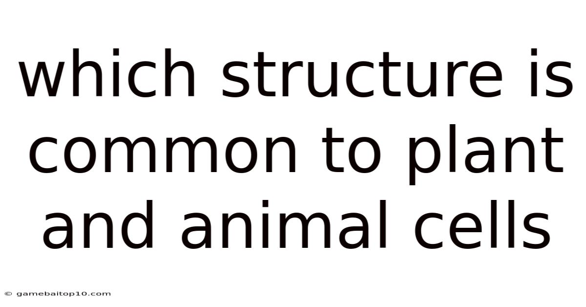 Which Structure Is Common To Plant And Animal Cells