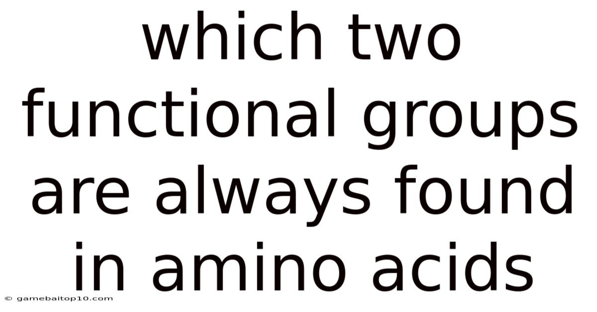 Which Two Functional Groups Are Always Found In Amino Acids