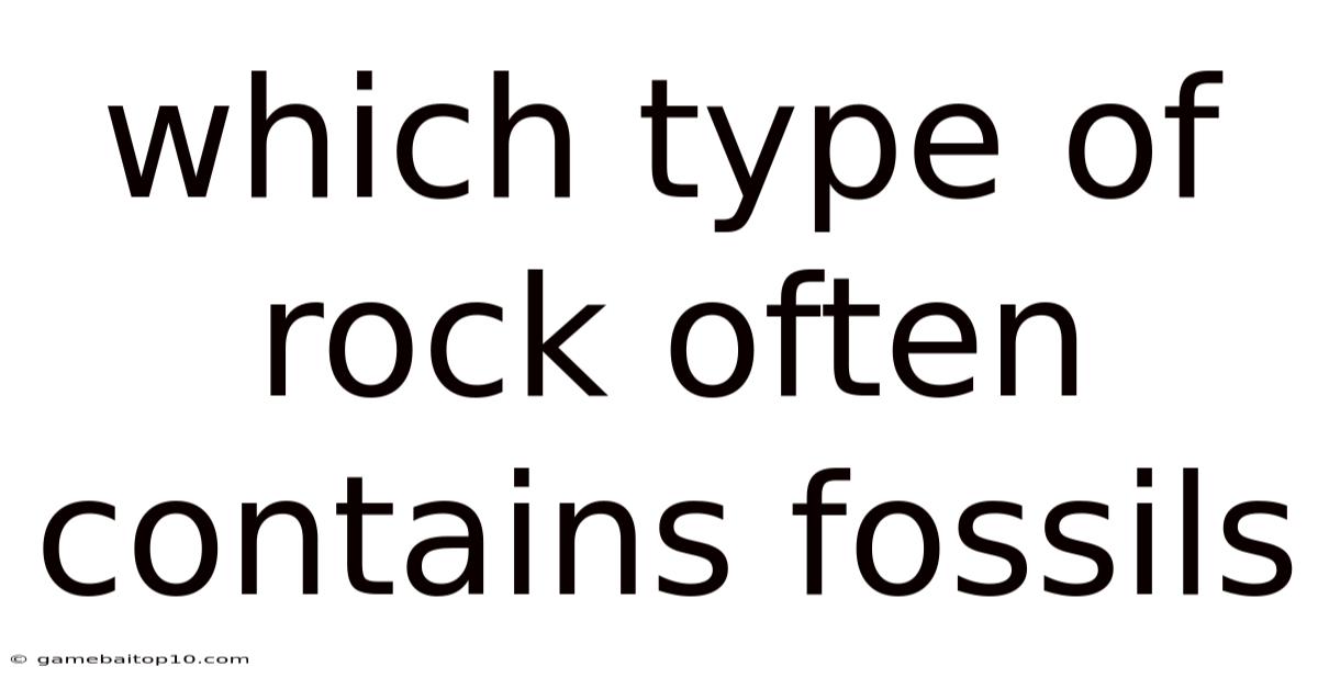 Which Type Of Rock Often Contains Fossils