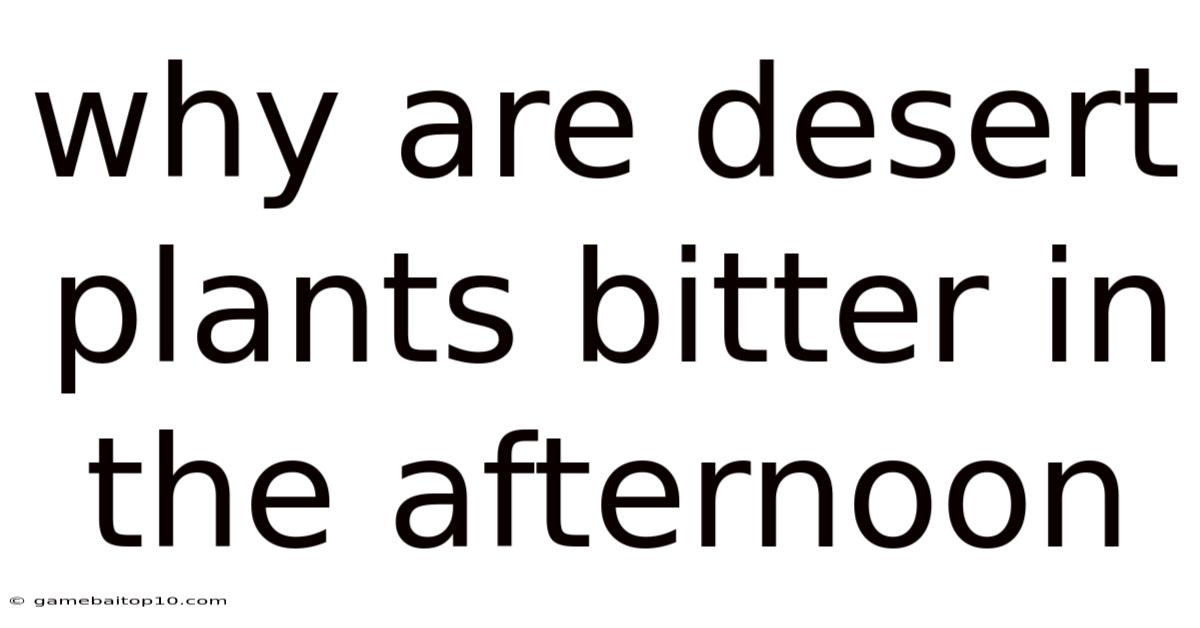 Why Are Desert Plants Bitter In The Afternoon