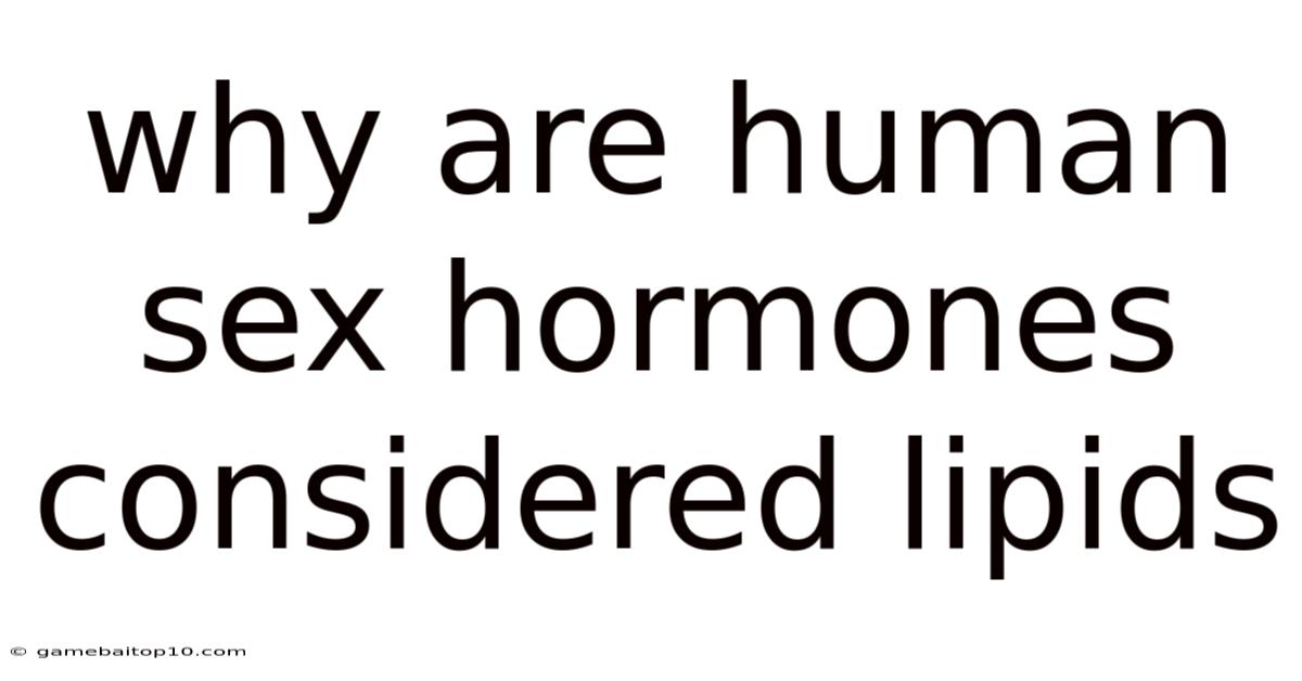 Why Are Human Sex Hormones Considered Lipids