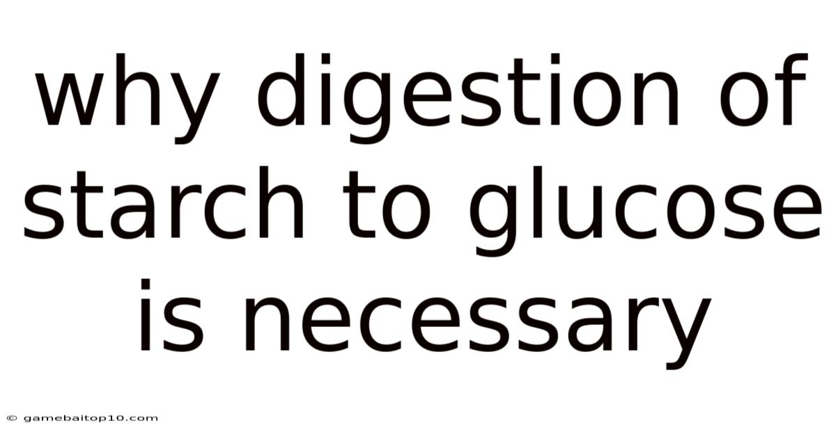Why Digestion Of Starch To Glucose Is Necessary