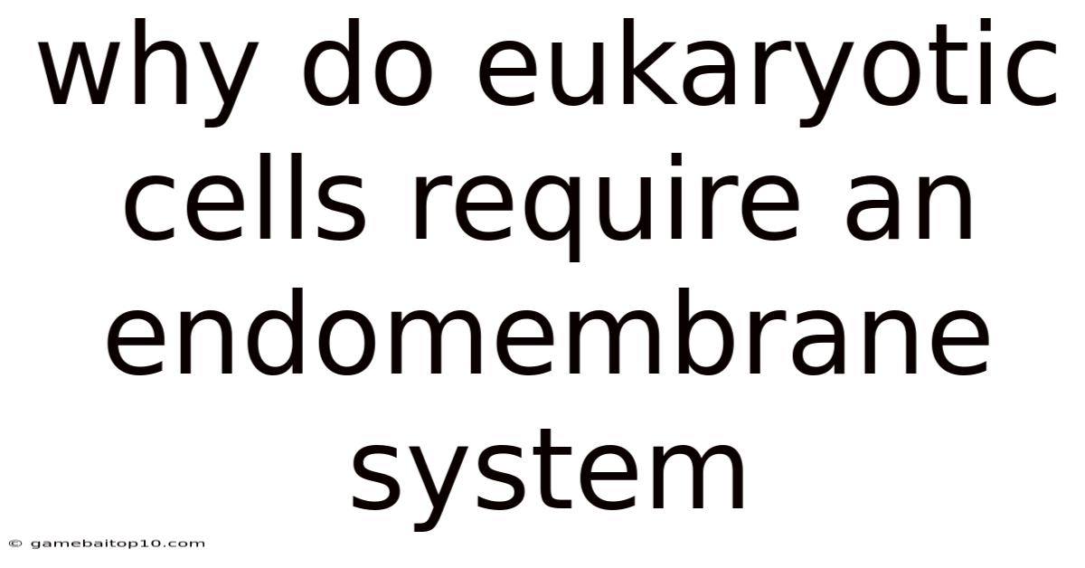Why Do Eukaryotic Cells Require An Endomembrane System