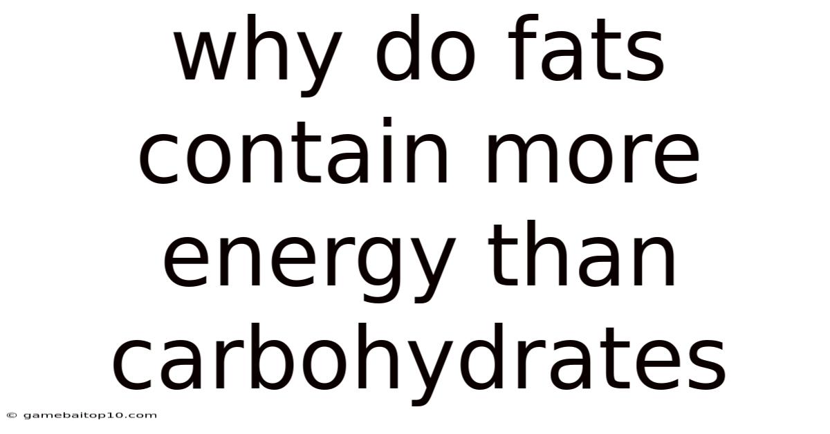 Why Do Fats Contain More Energy Than Carbohydrates