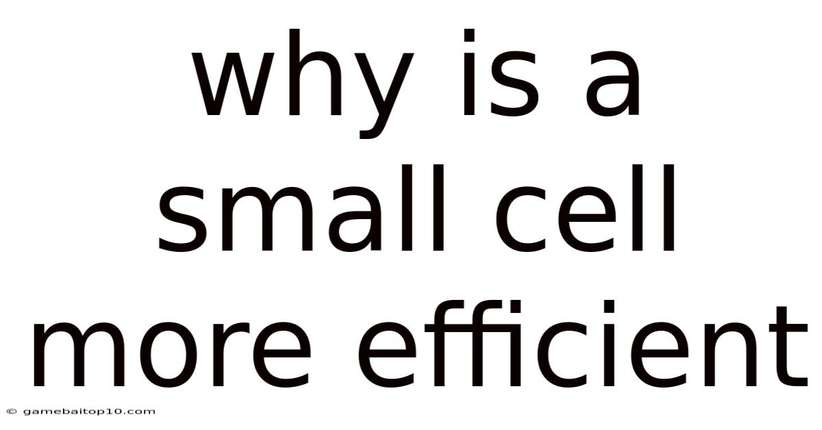 Why Is A Small Cell More Efficient