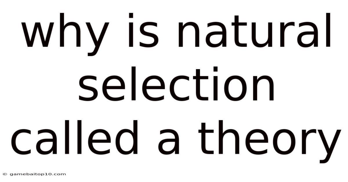Why Is Natural Selection Called A Theory